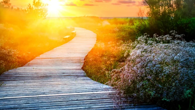 Using Indiana Learning Paths